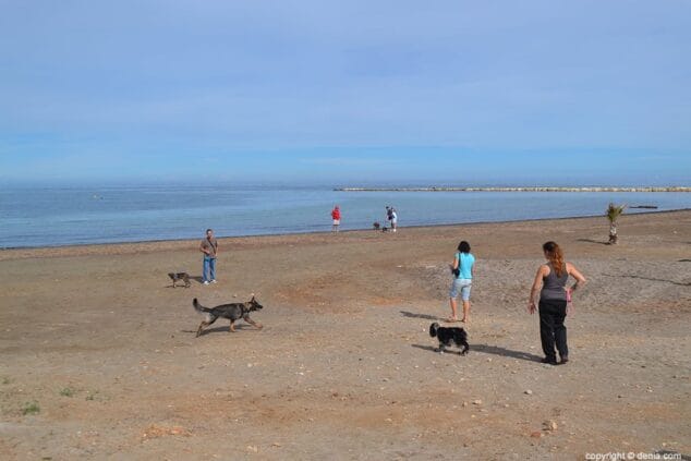 Playa del Cagarritar con perros