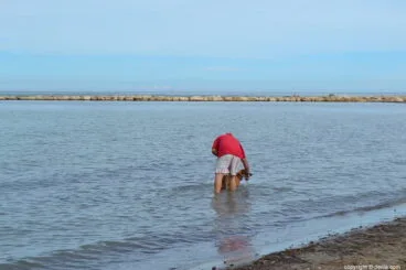 Un amo con su perro dentro del mar