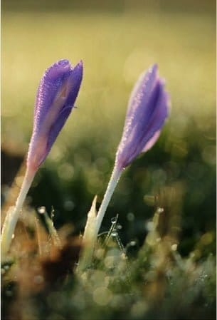 Exposición de Vicenta Sala