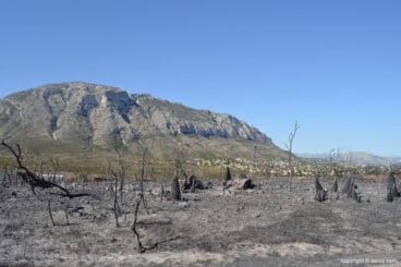 Incendio Montgó desde la LLoma del Castanyar
