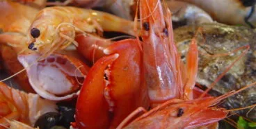 Mes del marisco en Voramar