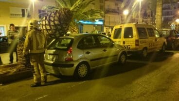 Palmera caída sobre el coche