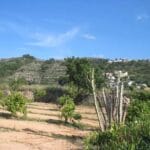 Venta de Casa en Benidoleig, 10683 m2, por 225.000€ 12 92911 0559126