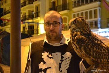Buho Real del Mercado Medieval