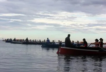 Los llauts en la línea de salida