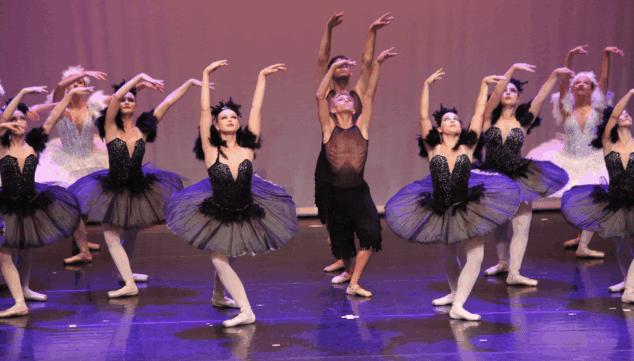la disciplina es converteix en art en l'estudi de dansa patricia senti