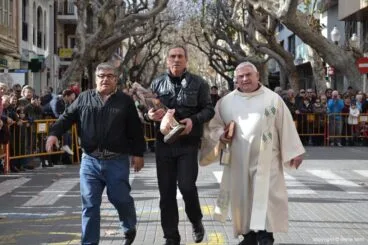 Bendición de animales en Dénia – llegada del santo