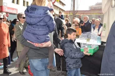 Bendición de animales en Dénia – pájaro