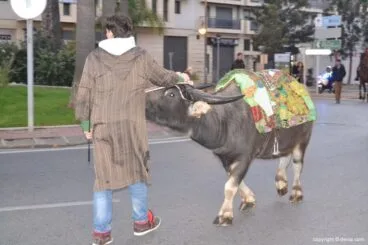 Cabalgata Reyes Magos 2015 – llegada de los Reyes a camello