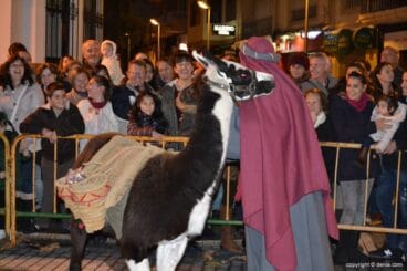 Cabalgata Reyes Magos 2015 – Llama