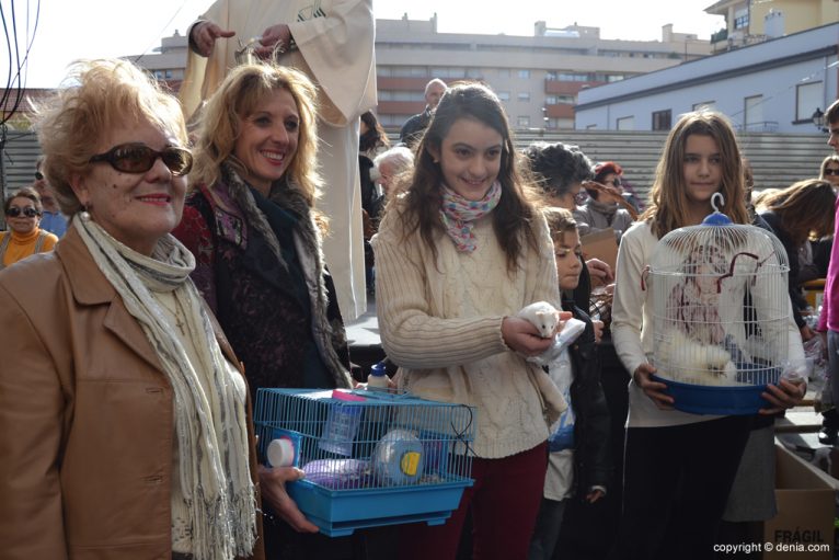 Blessing of animals in Dénia
