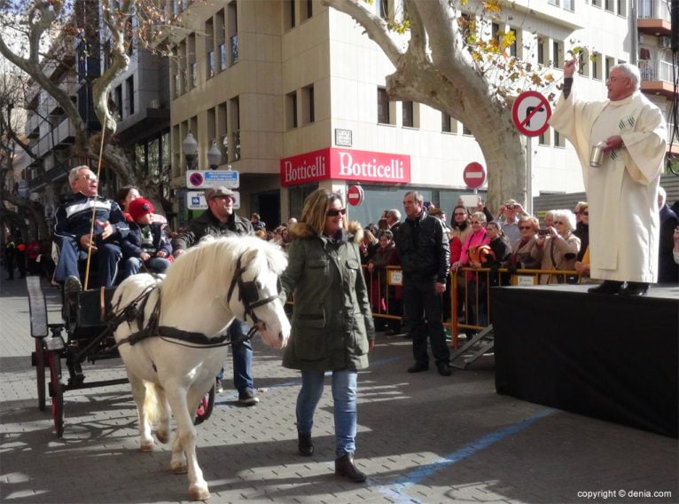 Participación de caballos en la festividad de San Antonio de Dénia
