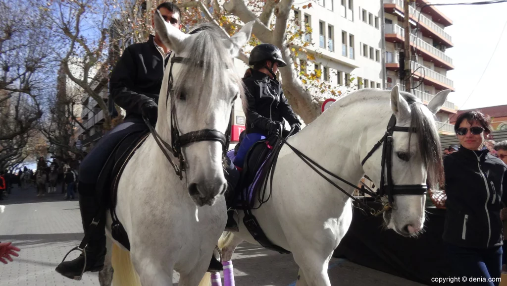 60 Participación de caballos en la festividad de San Antonio de Dénia