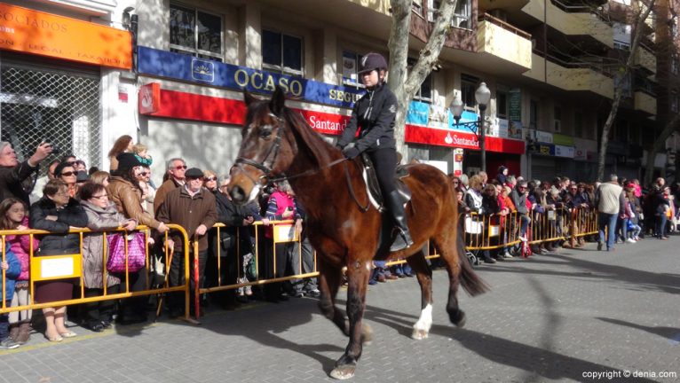 Participación de caballos en la festividad de San Antonio de Dénia