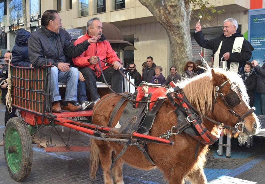 Bendición de animales Dénia