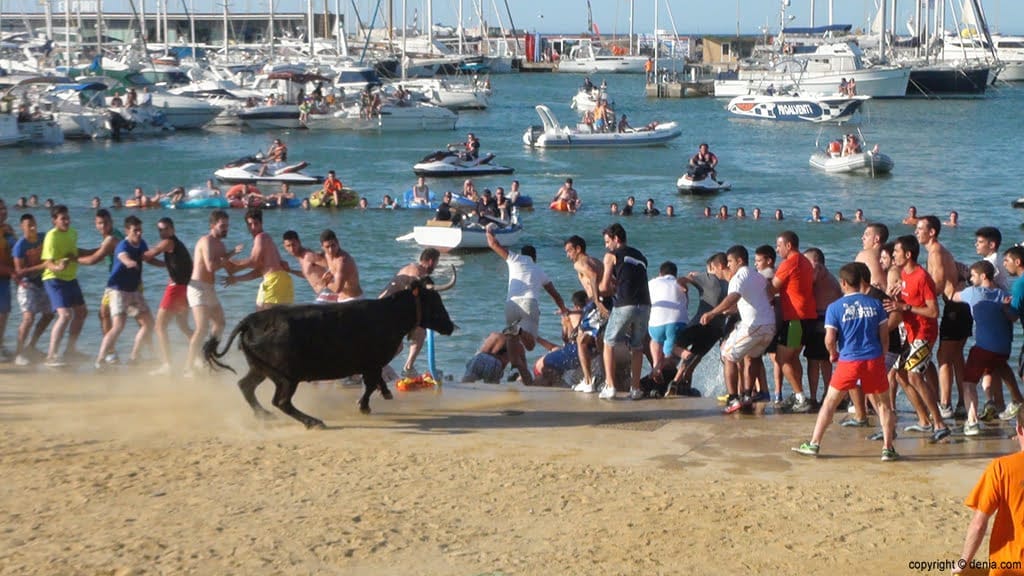 Bous a la Mar en Dénia