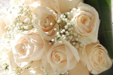 Envío de flores con Interflora en Mandarina