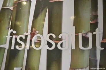 Fisiosalut1