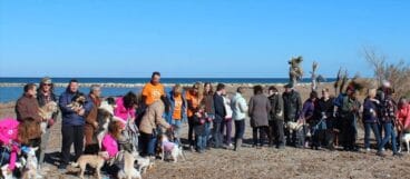 Solicitantes de una Playa para perros