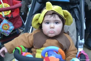 Carnaval en Dénia 2015 – Monito