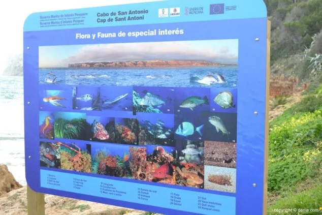 Panel Informativo en Les Rotes