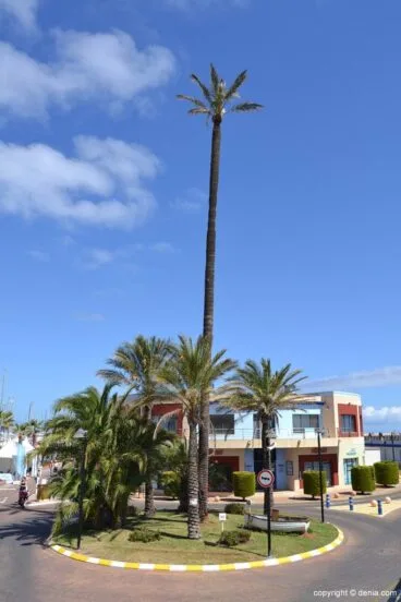 Rotonda de acceso al puerto deportivo Marina de Dénia
