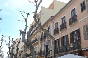 Edificios de la calle Marqués de Campo