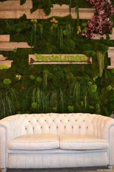 Floristería Verde Limón