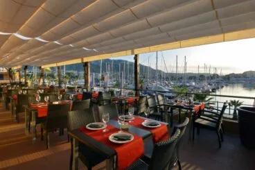Isla Tortuga Terraza