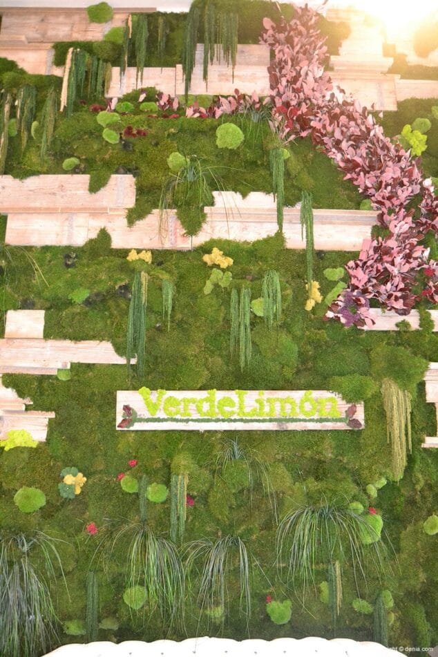 Verde Limón, otra forma de vender flores 3 Jardín vertical