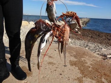 Pesca furtiva en la Reserva Marina del Cabo de San Antonio