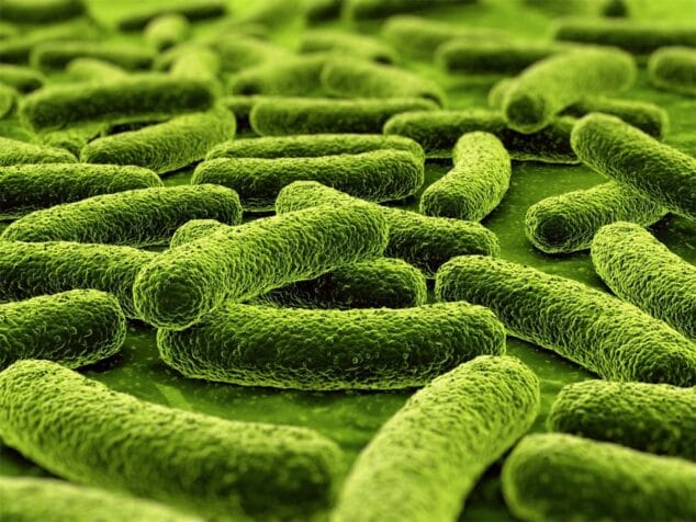 Tuberculosis