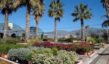 Vivero Natura Garden