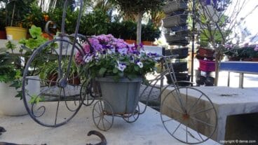 bici con flores