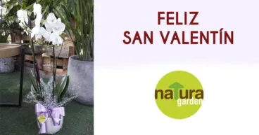 feliz san valentin natura garden