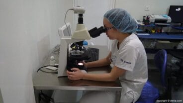 laboratorio irema