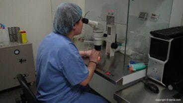 pruebas laboratorio