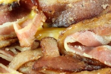 pura grasa del tocino 61 1526