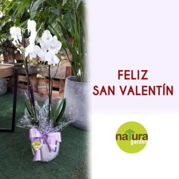 SORTEO NATURA GARDEN