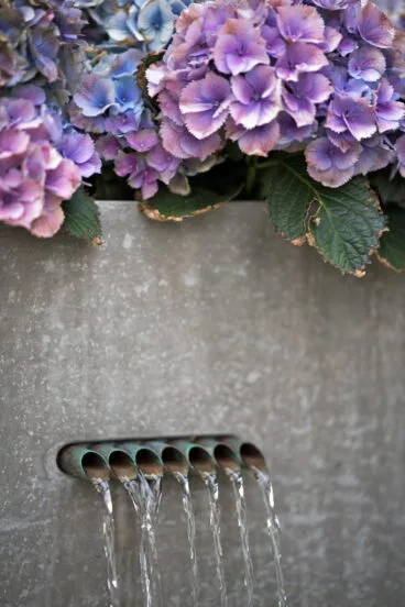 Venta de flores Dénia Natura Garden