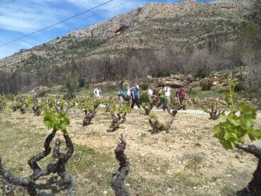 Excursión de Dénia a gata de Gorgos