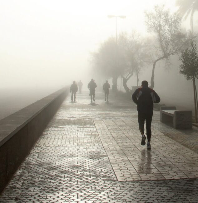 Marineta Primer premio modalidad artística