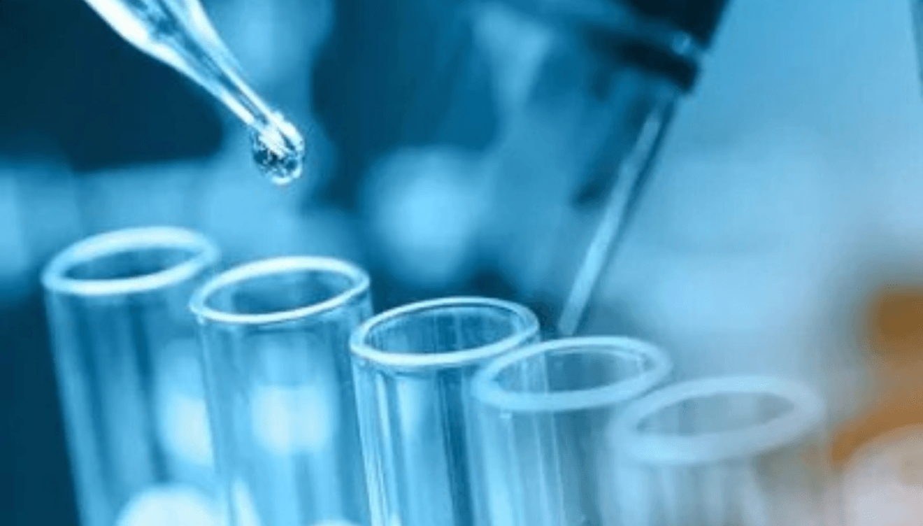 Ensayo