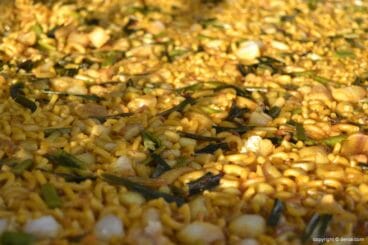 Feria Dénia Peix i Mar – Fideuà de El Jamonal de Ramonet