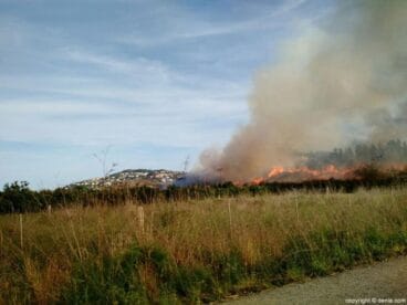 Arden las algas junto a la planta de compostaje