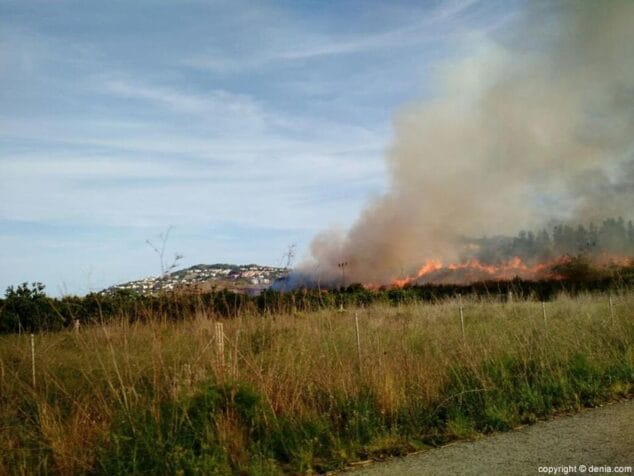 Arden las algas junto a la planta de compostaje