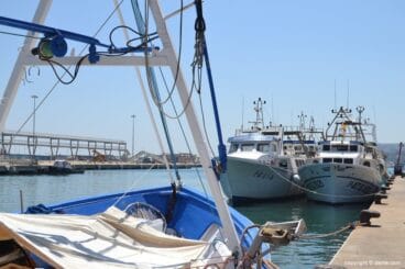 Barcos de pesca en Dénia