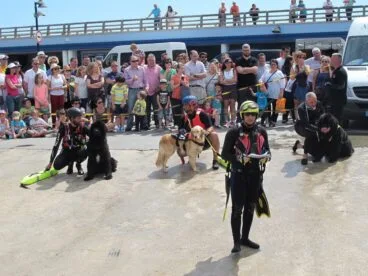 Exhibición de Salvamento Marítimo con Perros Terranova