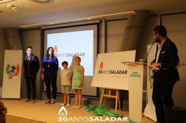 Explicación del logo de la Falla Saladar