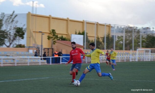 Mono dentro del área visitante